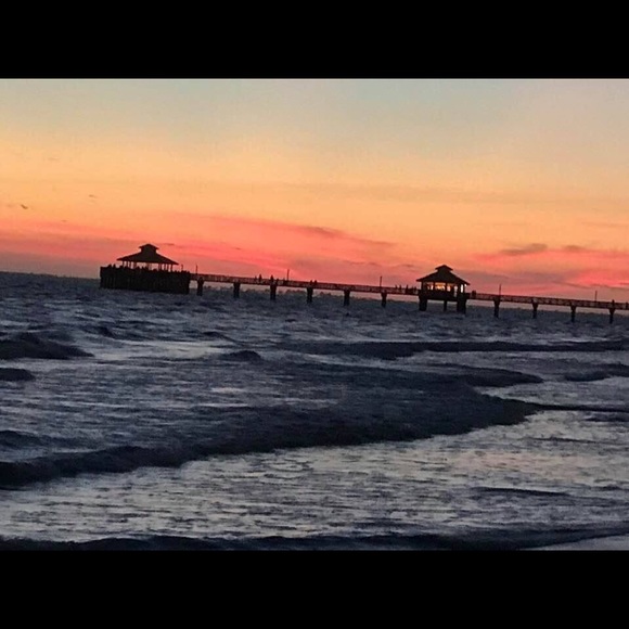 Meet your Posher, Marlie - Picture 1 of 1